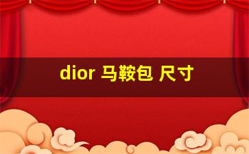 dior 马鞍包 尺寸